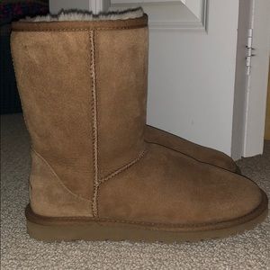classic chestnut UGGS